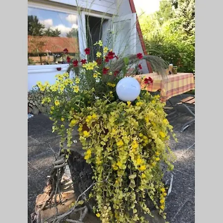 Сasa de vacaciones Matilda Ii - Lovely Matilda